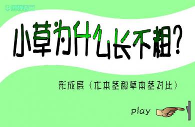 幼兒園科學(xué)小草為什么長不粗？FLASH課件動畫