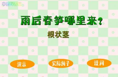 幼兒園科學雨后春筍哪里來FLASH課件動畫