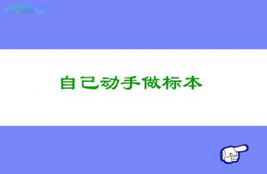 幼兒園科學教育自己動手做標本FLASH課件動畫