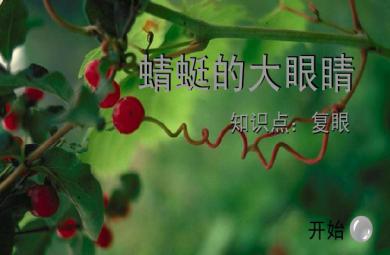 幼兒園科學蜻蜓的復眼FLASH課件動畫