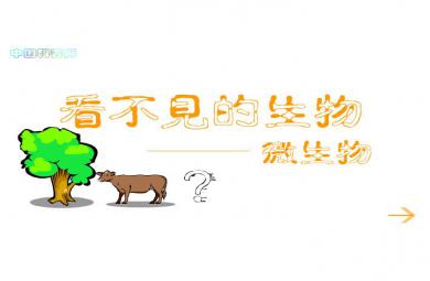 幼兒園科學看不見的生物-微生物FLASH課件動畫