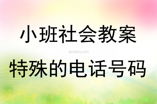 小班社會活動特殊的電話號碼教案反思