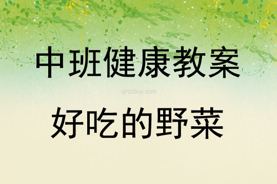 中班健康教育活動好吃的野菜教案反思