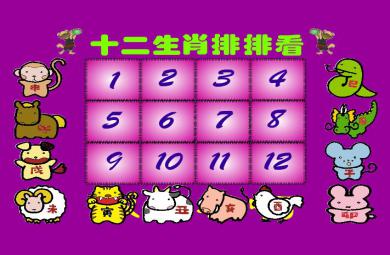 幼兒園十二生肖排排看FLASH課件動畫