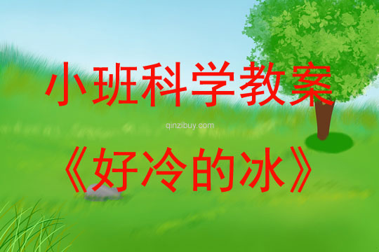 小班科學好冷的冰教案反思