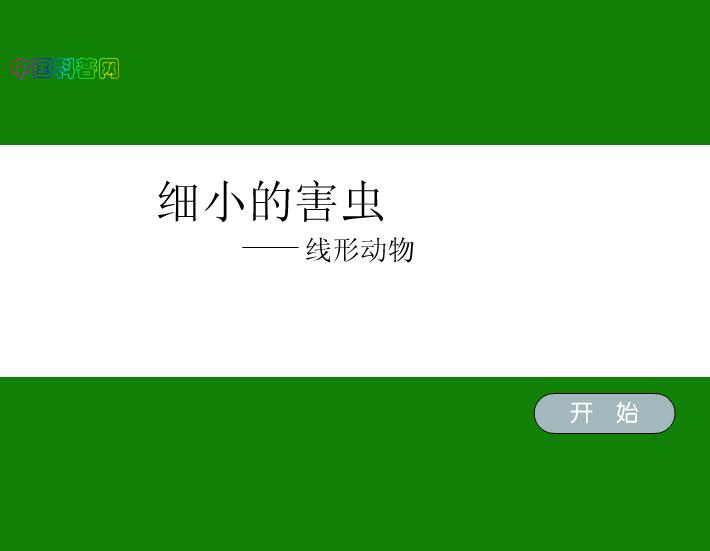 幼兒園細小的害蟲FLASH課件動畫