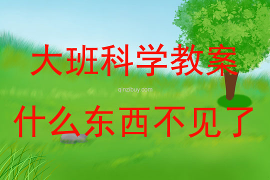 大班科學什么東西不見了教案反思
