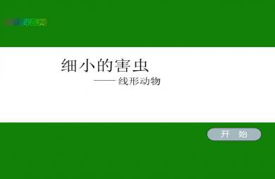 幼兒園細小的害蟲FLASH課件動畫