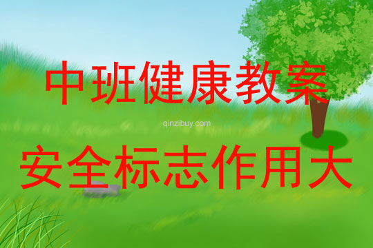 中班健康活動(dòng)安全標(biāo)志作用大教案反思