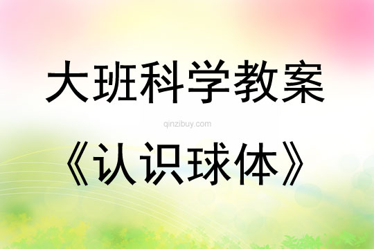 大班科學活動認識球體教案反思
