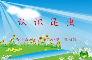 幼兒園中班科學(xué)認(rèn)識(shí)昆蟲FLASH課件動(dòng)畫