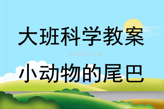 大班科學小動物的尾巴教案反思