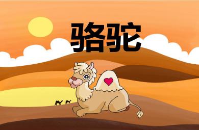 幼兒園動物兒歌駱駝PPT課件音頻