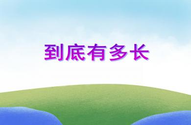 大班數(shù)學(xué)活動(dòng)到底有多長(zhǎng)PPT課件
