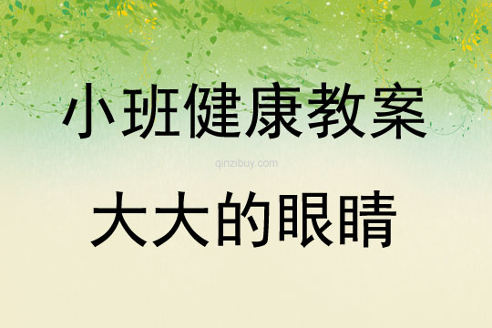 小班健康活動(dòng)大大的眼睛教案反思