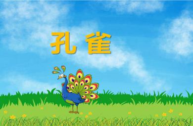幼兒園動物兒歌孔雀PPT課件音頻