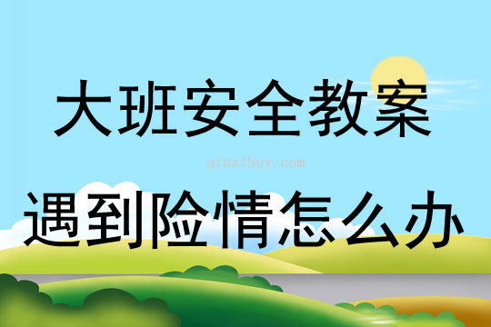 大班安全遇到險情怎么辦教案反思