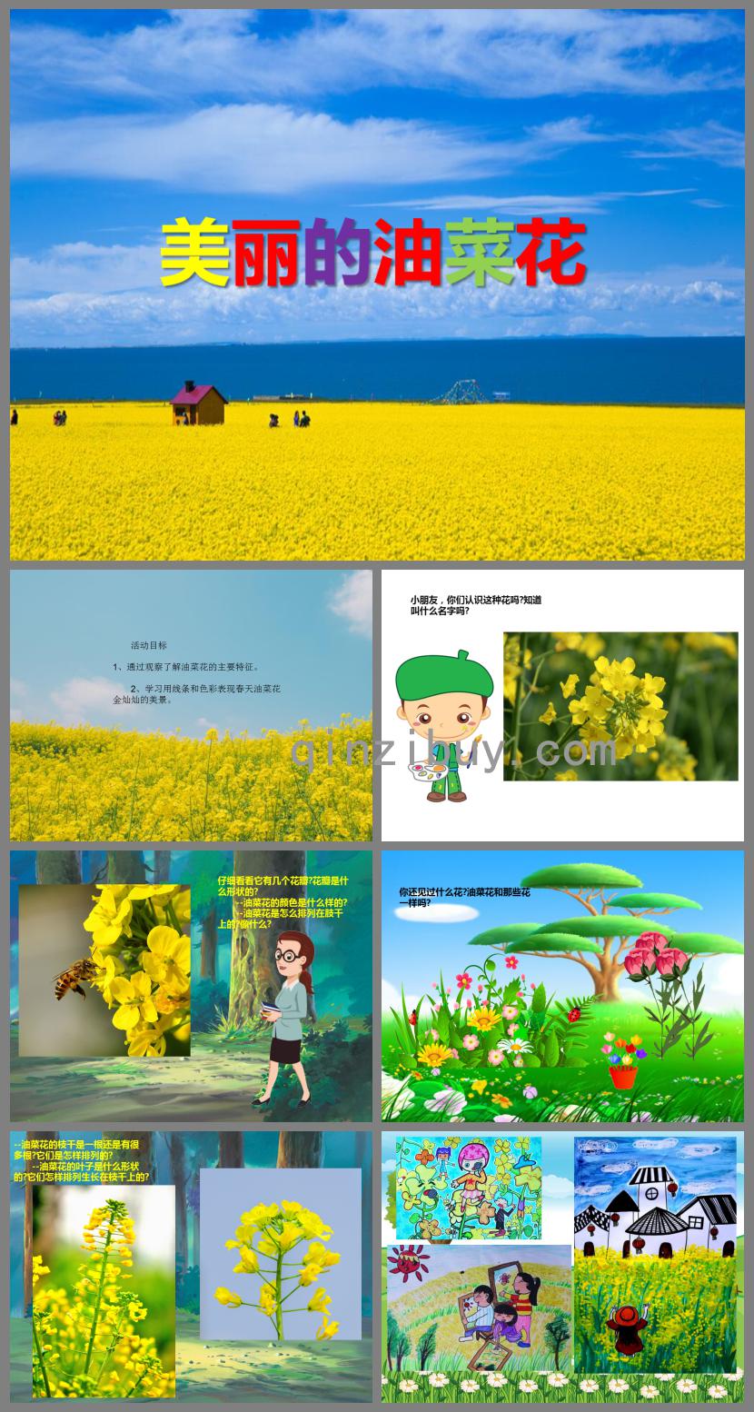 大班美術美麗的油菜花PPT課件