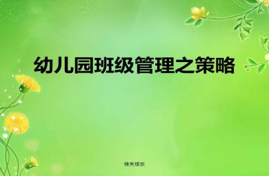 幼兒園班級管理之策略PPT課件