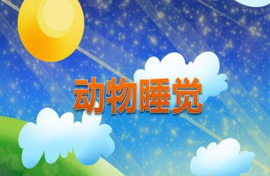 中班科學(xué)優(yōu)質(zhì)課動(dòng)物睡覺(jué)PPT課件