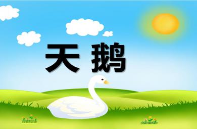幼兒園動物兒歌天鵝PPT課件音頻