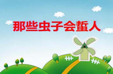 中班安全哪些蟲子會蟄人PPT課件