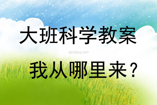 大班科學活動我從哪里來？教案反思