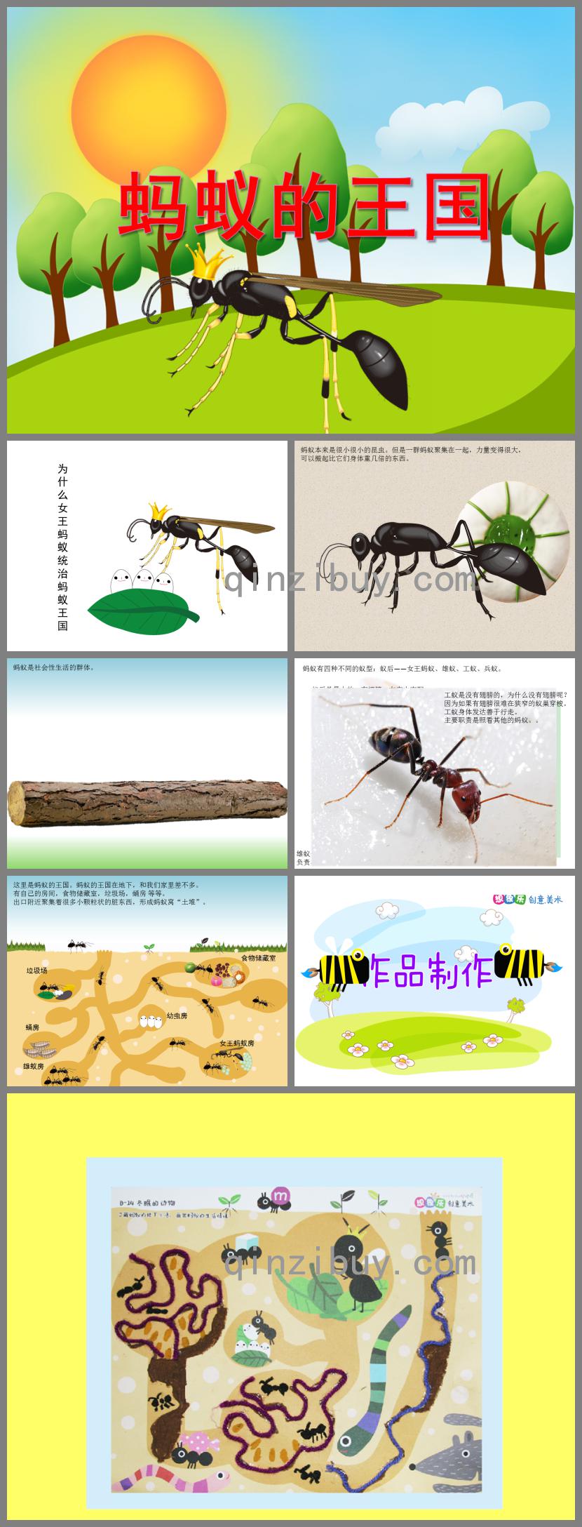 大班美術活動螞蟻的王國PPT課件