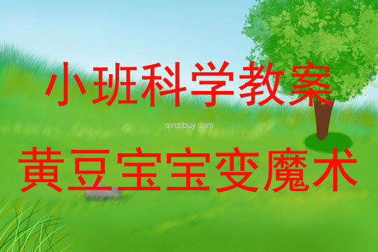 小班科學活動黃豆寶寶變魔術教案反思