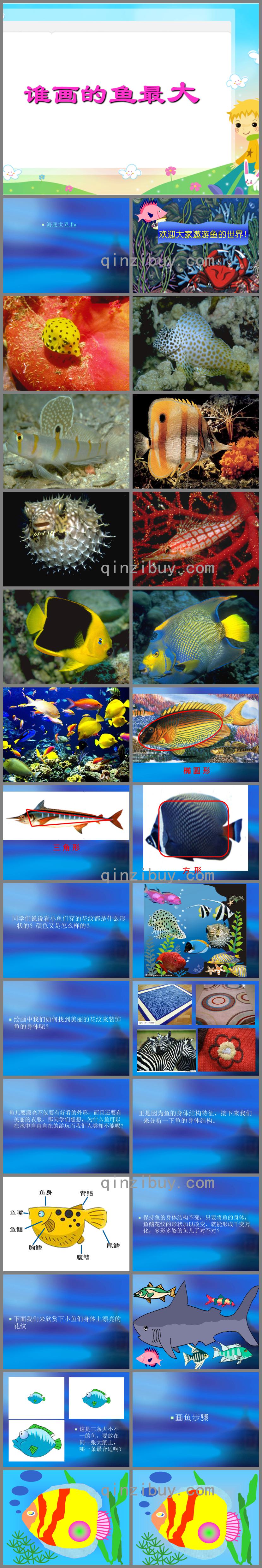 大班美術誰畫的魚最大PPT課件