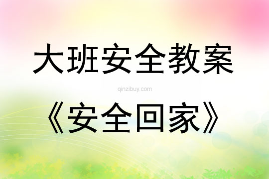 大班開學“安全教育”第一課活動安全回家教案反思