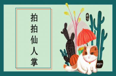 大班美術拍拍仙人掌PPT課件