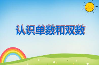 大班數(shù)學(xué)認(rèn)識(shí)單數(shù)和雙數(shù)PPT課件