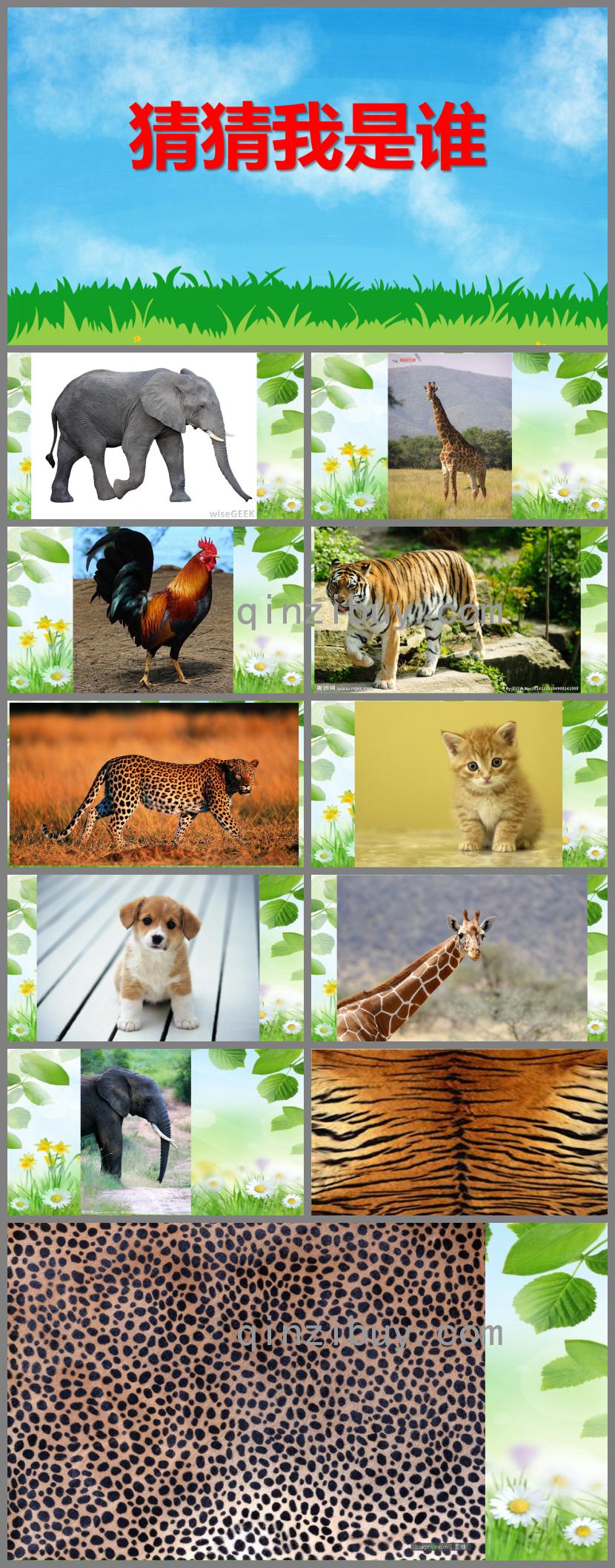 小班語(yǔ)言活動(dòng)猜猜我是誰(shuí)PPT課件
