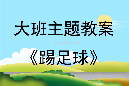 大班足球特色活動(dòng)踢足球教案反思