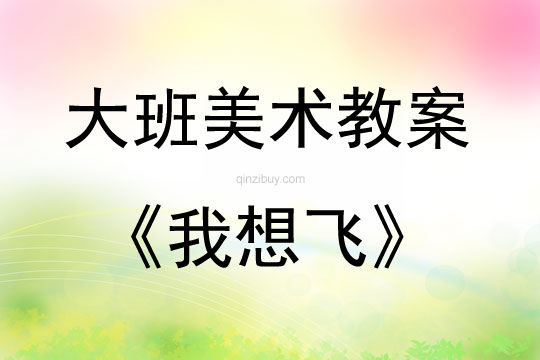 大班美術(shù)活動(dòng)我想飛教案反思