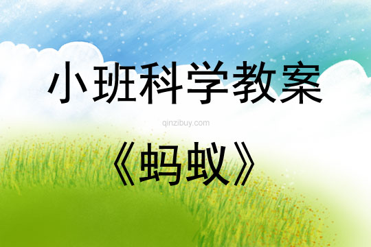 小班科學(xué)螞蟻教案反思