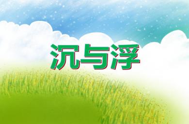 大班科學優質課沉與浮PPT課件