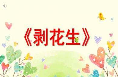 大班數學活動剝花生PPT課件