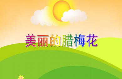 中班美術活動美麗的臘梅花PPT課件