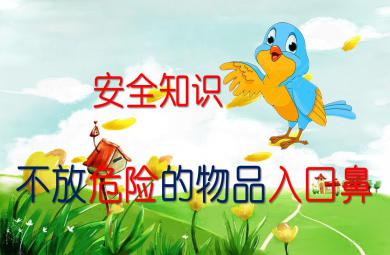 幼兒園安全不放危險的物品入口鼻PPT課件