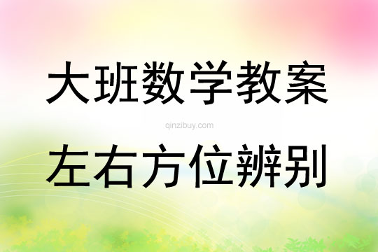 大班數(shù)學(xué)活動(dòng)左右方位辨別教案反思