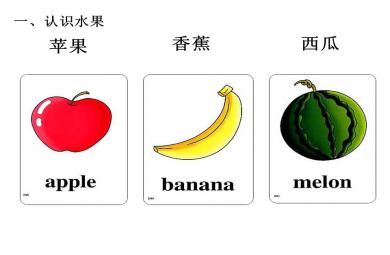 小學常用英語單詞圖片大全完全版PPT課件