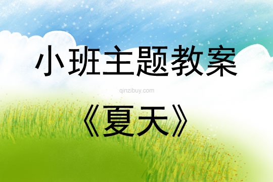 小班主題夏天教案反思