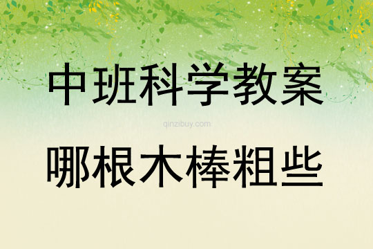 中班科學哪根木棒粗些教案反思