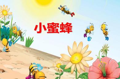 幼兒園兒歌小蜜蜂PPT課件音效音樂