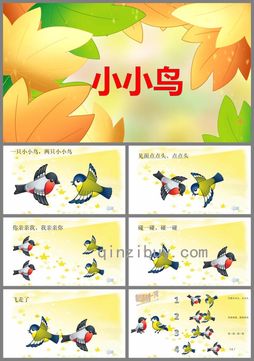 小班語言活動小小鳥PPT課件