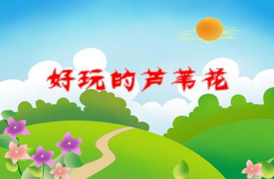 大班美術活動好玩的蘆葦花PPT課件音樂