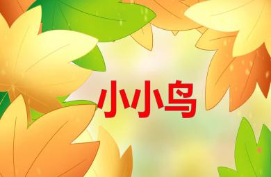 小班語言活動小小鳥PPT課件