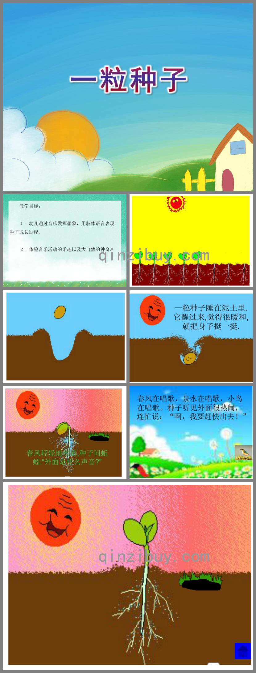 大班語言活動一粒種子PPT課件